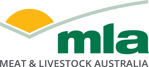 MLA